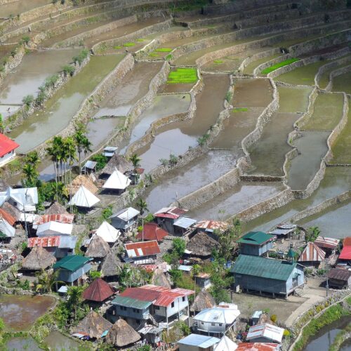 Aerial view of a rural area surrounded by rice fields in the Philippines.