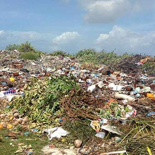 Image of a dumpsite with mixed garbage and greenery.