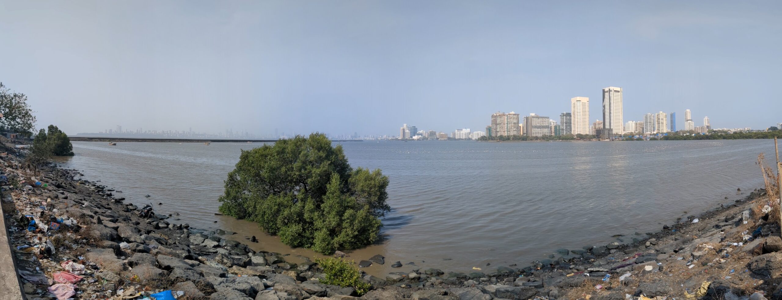 Panoramic view of a bay with some mangroves along a trash-strewn beach in the foreground, and a city skyline on the other side of the water in the background.